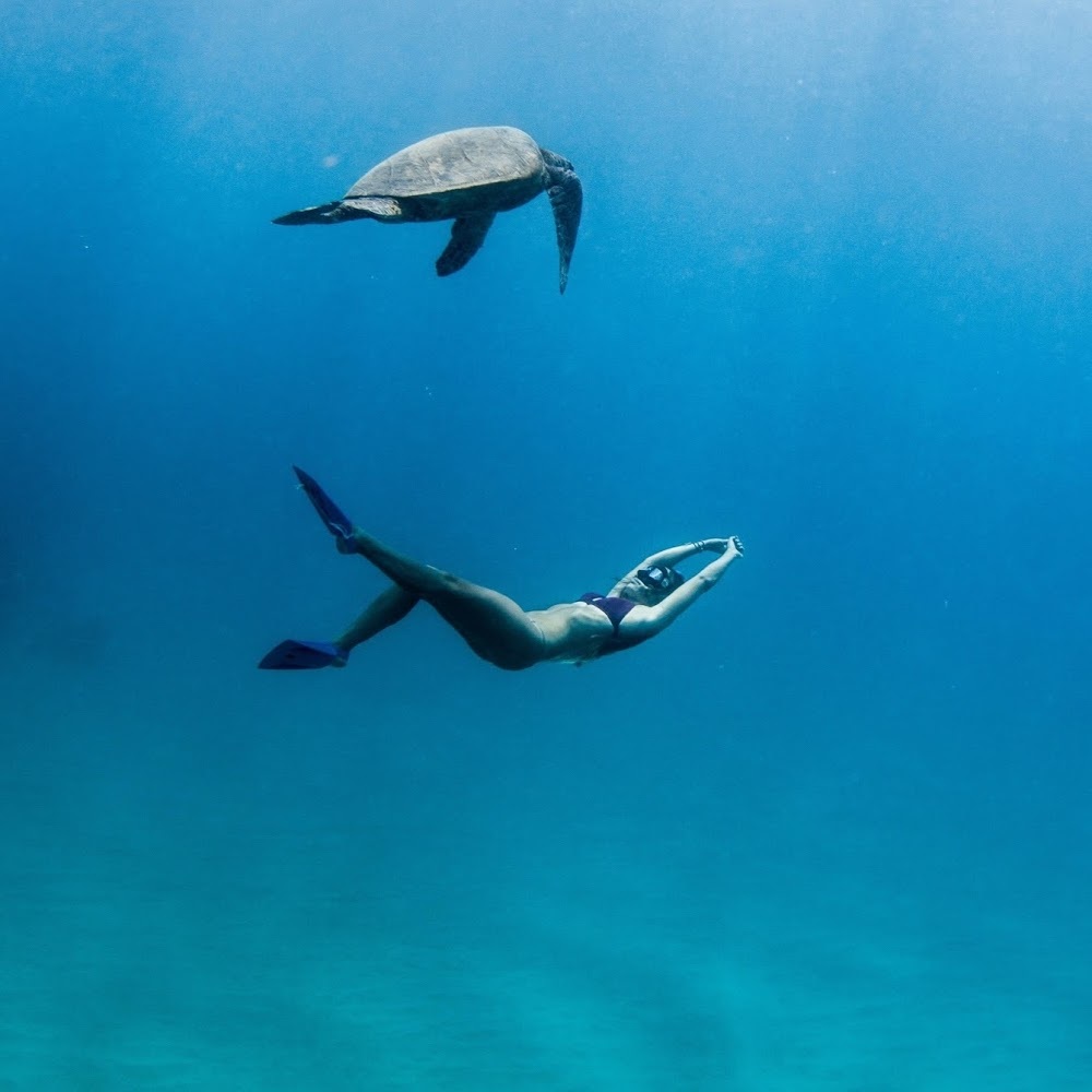 Meet your Posher, Andrea